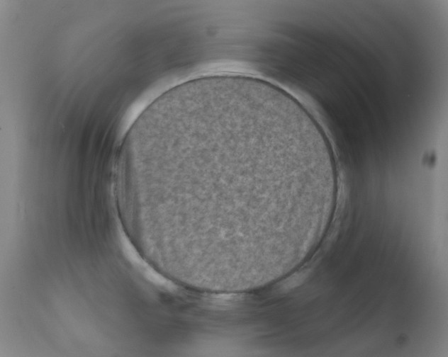 X0000111791390200909031147