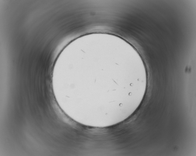 X0000111791392200909031146