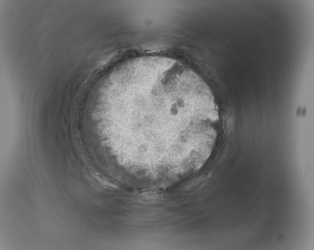 X0000111791393200909031146