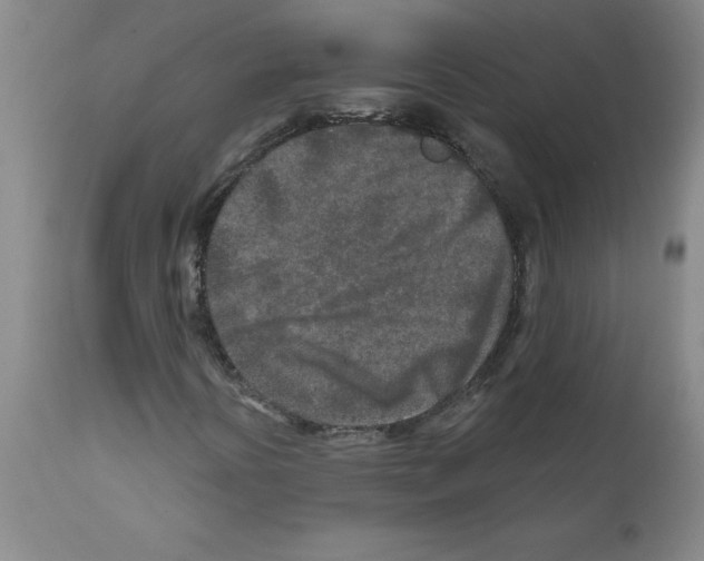 X0000111791394200909031146