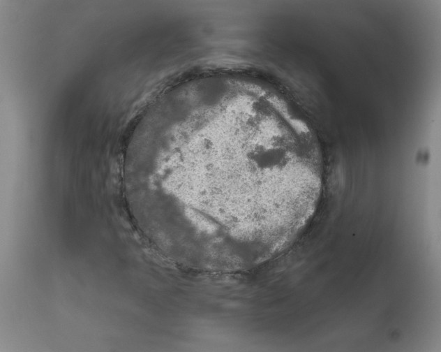 X0000111791397200909031146