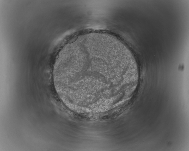 X0000111791398200909031146