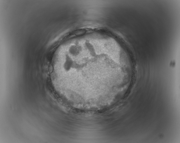 X0000111791399200909031146