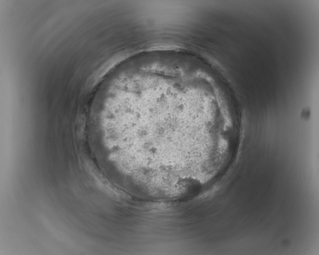 X0000111791401200909031146