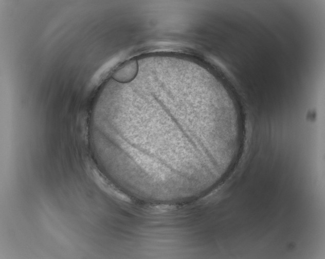 X0000111791403200909031146