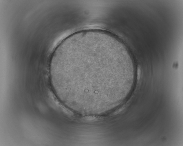 X0000111791405200909031146