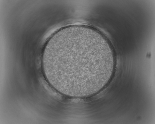 X0000111791407200909031146