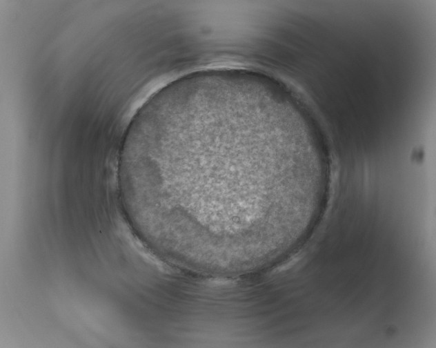 X0000111791409200909031146