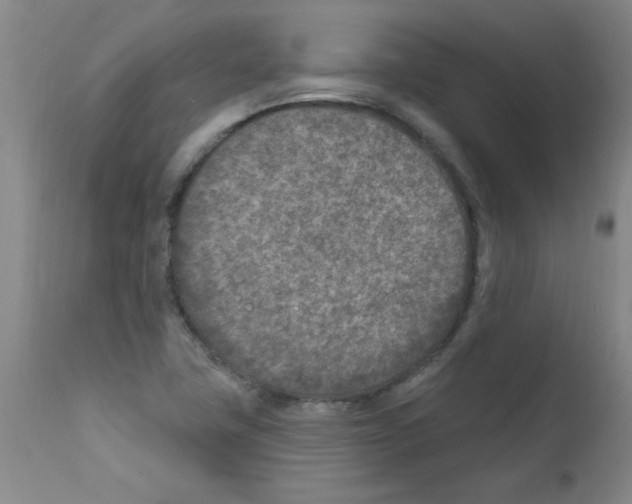 X0000111791411200909031146