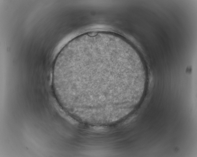 X0000111791413200909031146