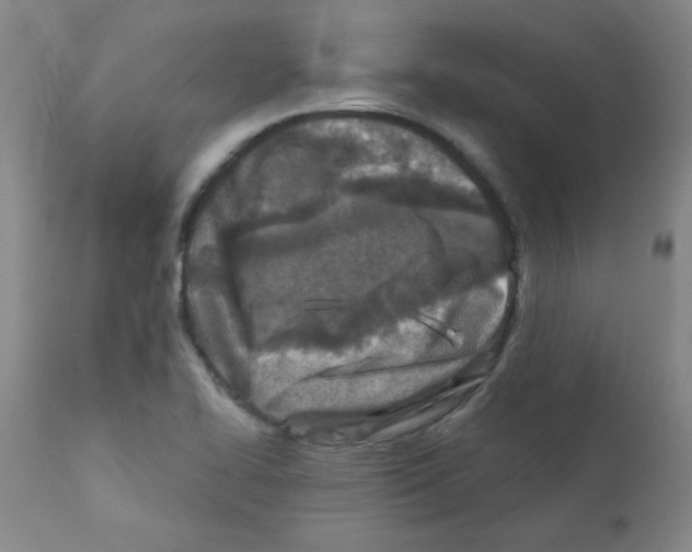 X0000111791414200909031146