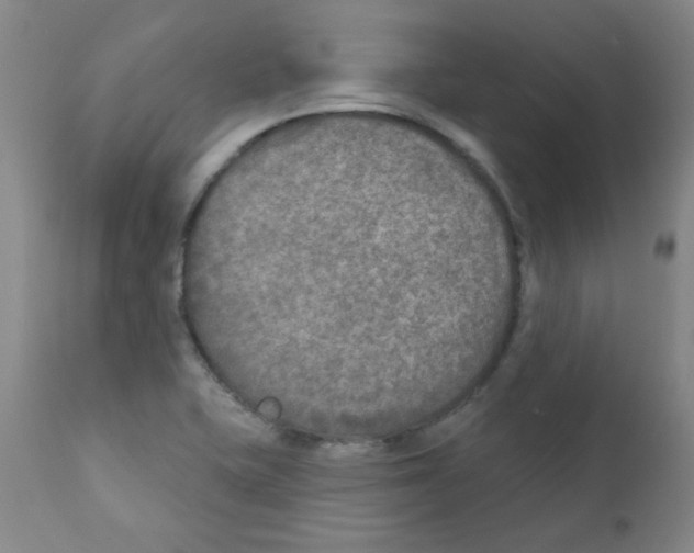 X0000111791415200909031146