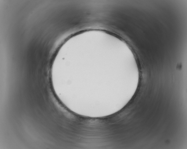 X0000111791416200909031146