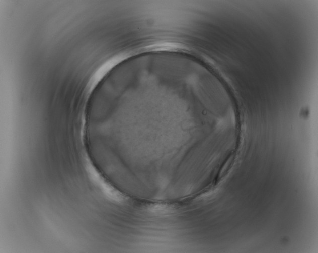 X0000111791418200909031146