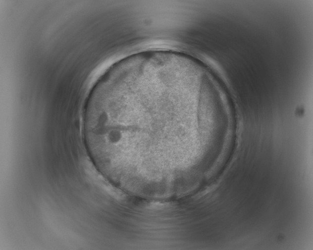 X0000111791419200909031146