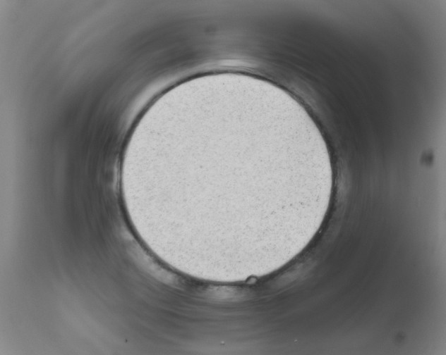 X0000111791420200909031146