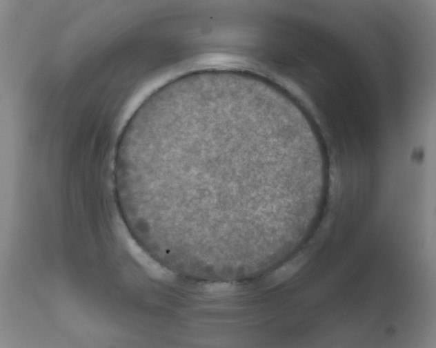 X0000111791421200909031146