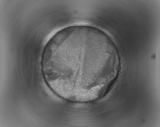 X0000111791422200909031146