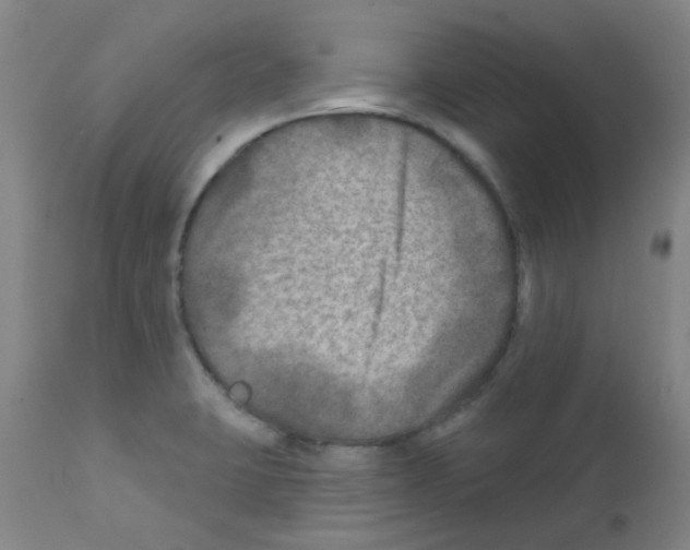 X0000111791423200909031146