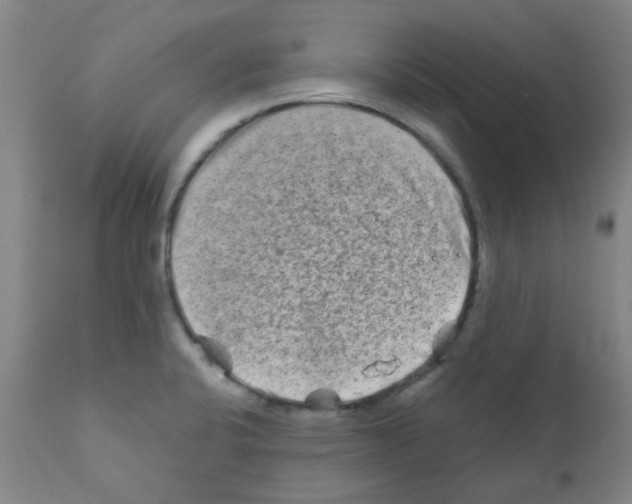 X0000111791424200909031146