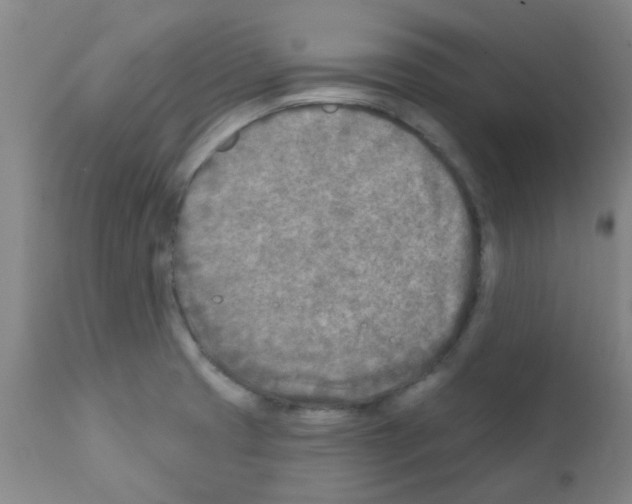 X0000111791425200909031146