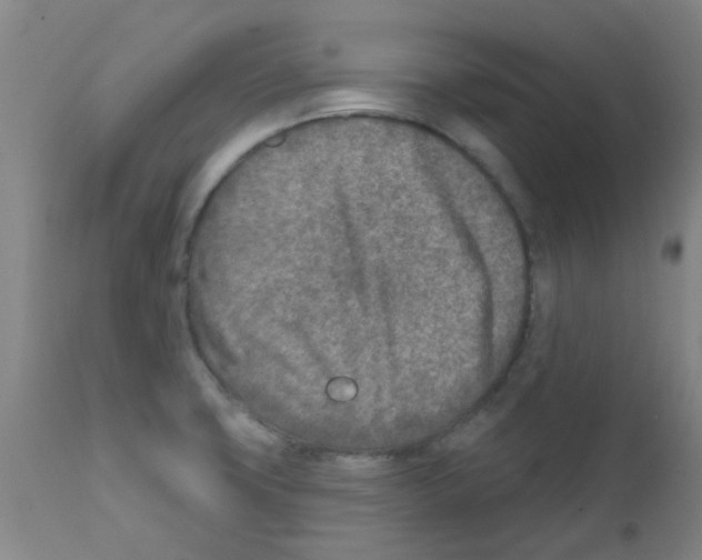 X0000111791427200909031146