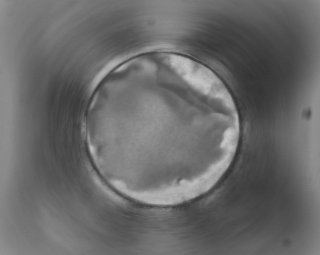 X0000111791428200909031146