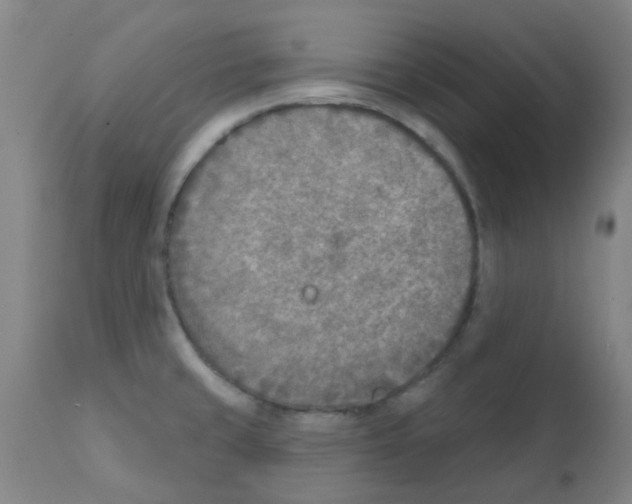 X0000111791429200909031146