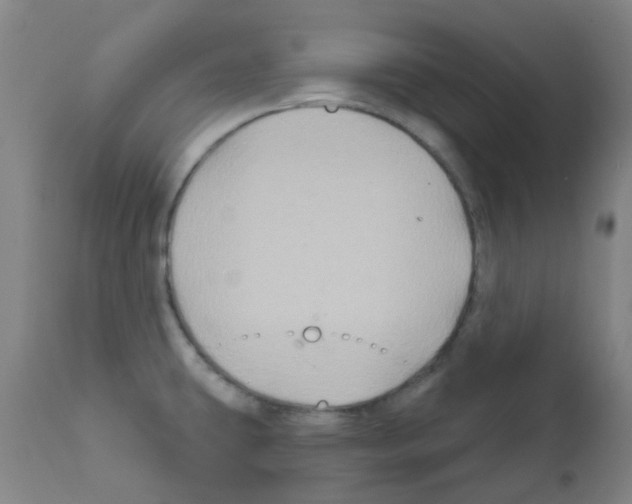 X0000111791431200909031146