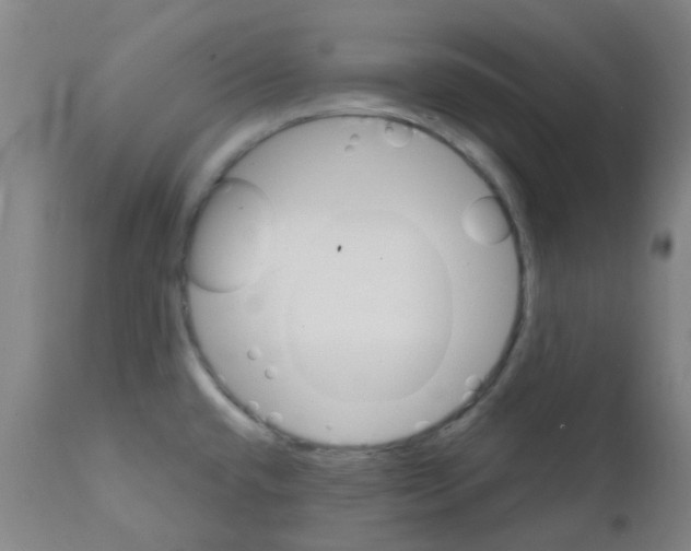 X0000111791432200909031146