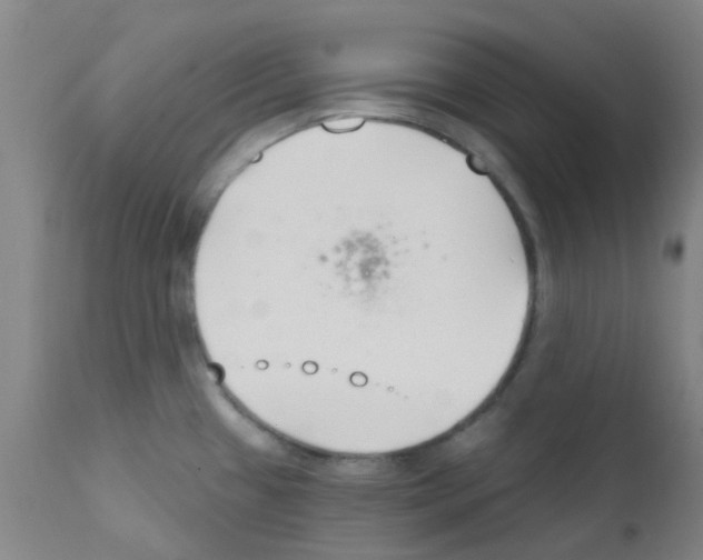 X0000111791433200909031146