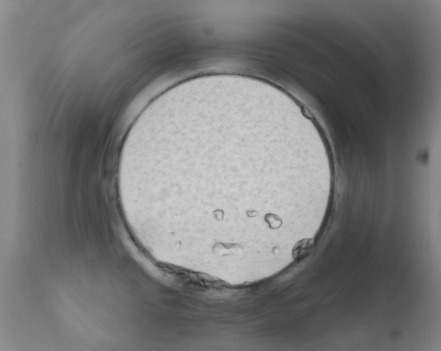 X0000111791437200909031146