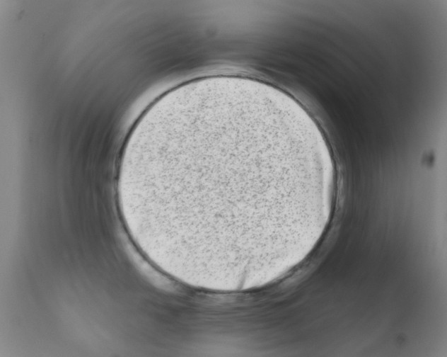 X0000111791438200909031146