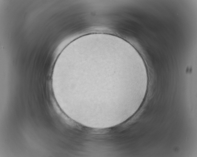 X0000111791440200909031146