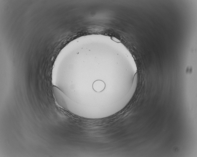 X0000111791441200909031146