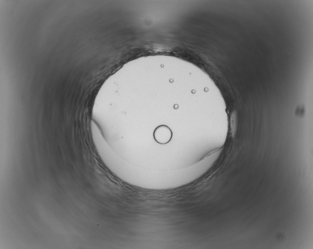 X0000111791443200909031146