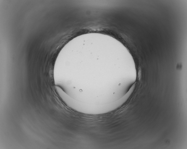 X0000111791444200909031146