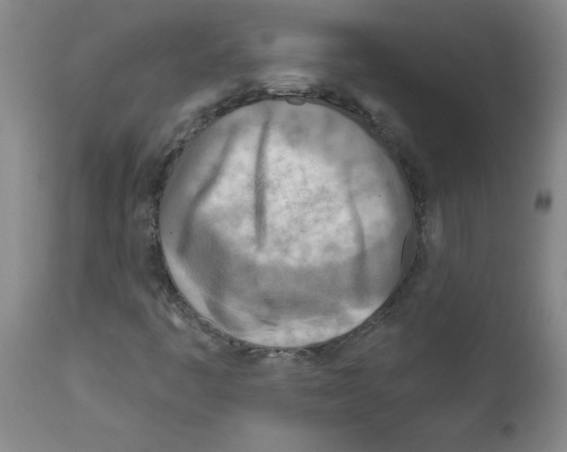 X0000111791445200909031146