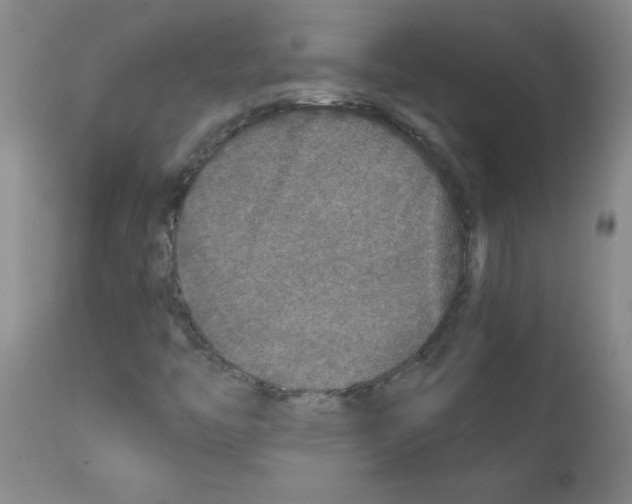 X0000111791446200909031146