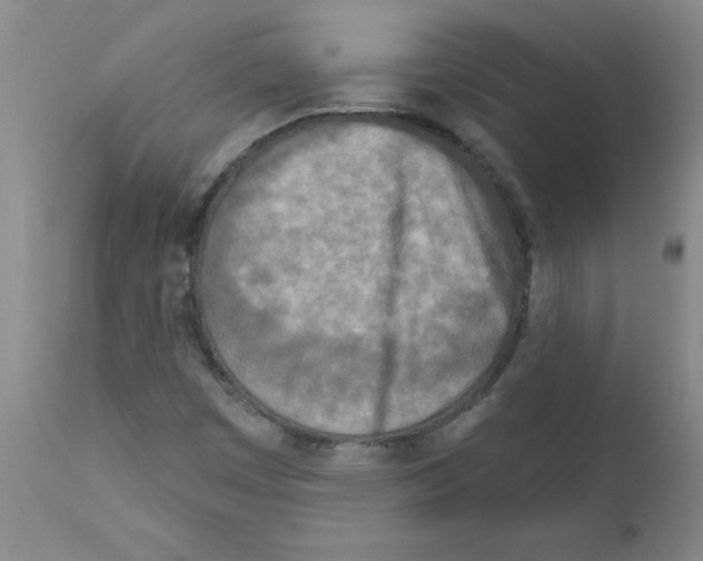 X0000111791449200909031146