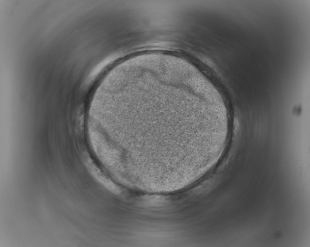 X0000111791450200909031146