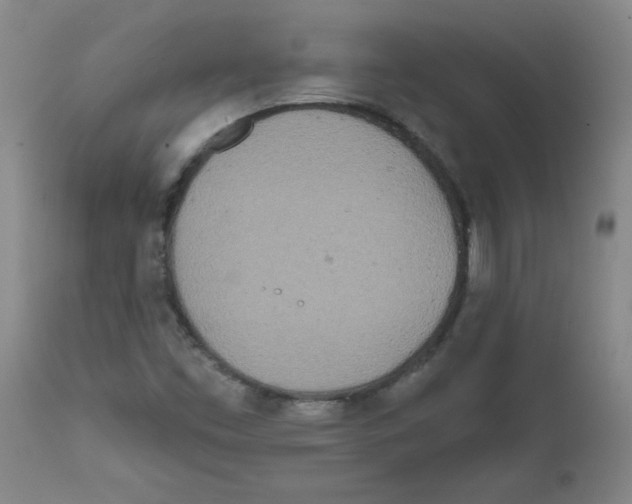 X0000111791453200909031145