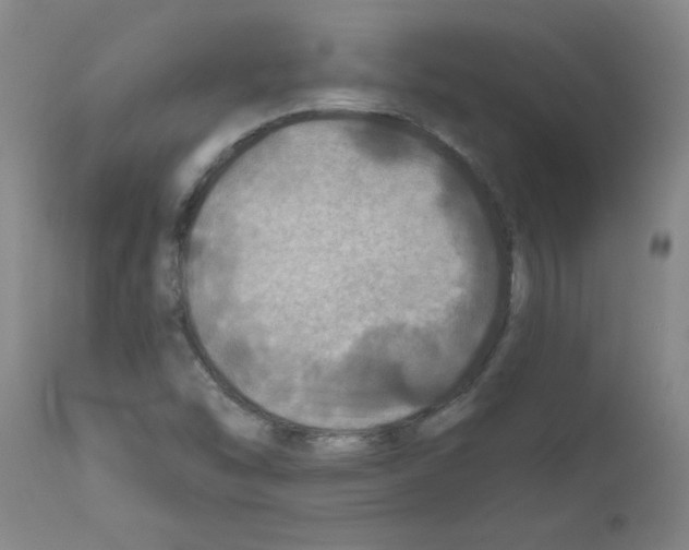 X0000111791454200909031145