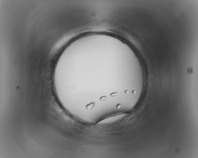 X0000111791456200909031145