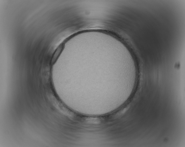 X0000111791457200909031145