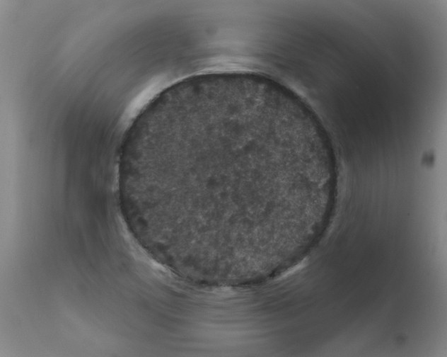 X0000111791459200909031145