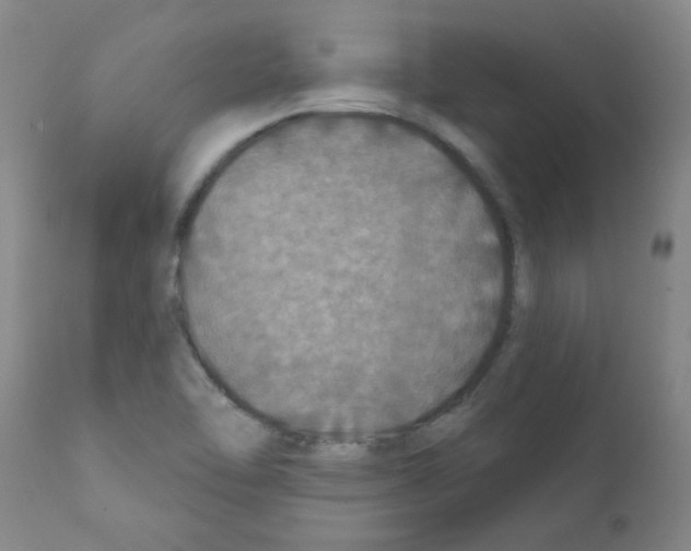 X0000111791462200909031145