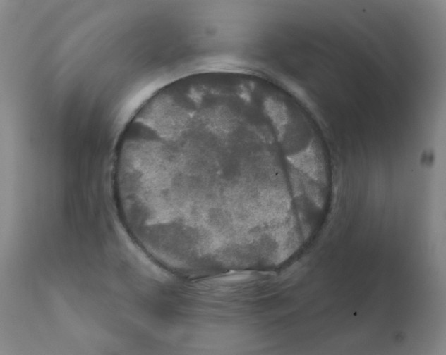 X0000111791463200909031145