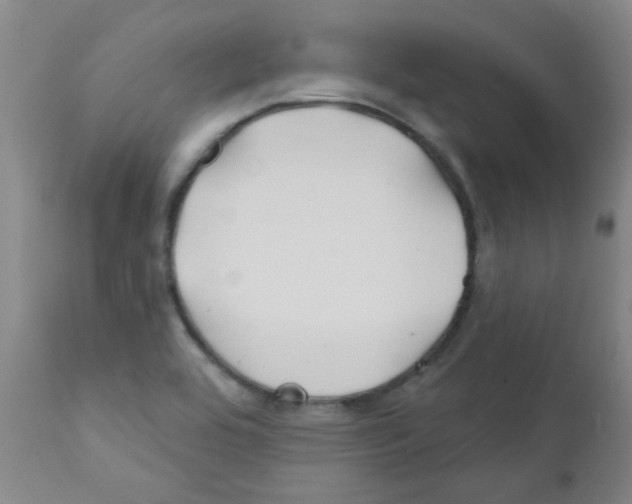 X0000111791464200909031145