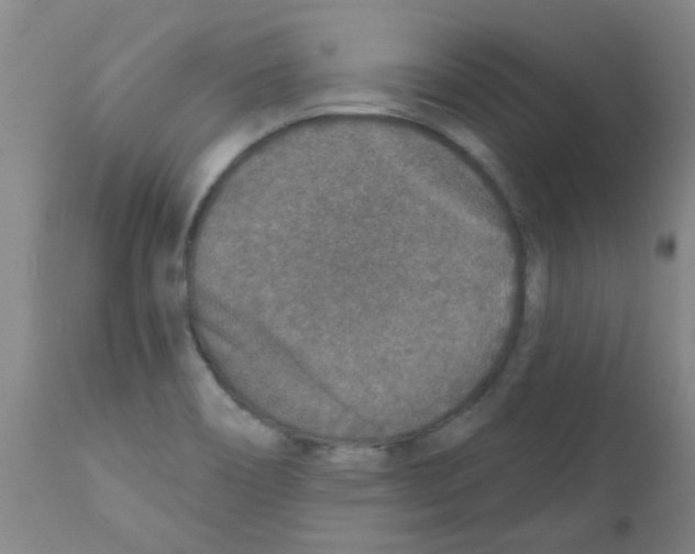 X0000111791466200909031145